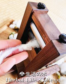 プランターでもできる！和綿の栽培<br/>日本の綿を楽しくエシカルに育ててみよう