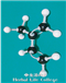 生活の木  7/ 8（金）分子模型を組み立てる<br/>化学の立体構造を理解する<br/>1日体験コース　申込締切日：6/30