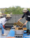 生物のHarmonizaition　薬香草園BeeFarmの養蜂作業体験講座