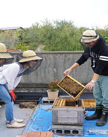 生物のHarmonizaition<br/>薬香草園BeeFarmの養蜂作業体験講座