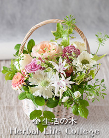 ～花とハーブを生活に～生花で季節を楽しむ<br/>フレッシュフラワーアレンジメント