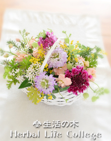 ～花とハーブを生活に～生花で季節を楽しむ<br/>フレッシュフラワーアレンジメント